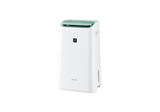 Sharp Air Purifier DW-E16FA-W