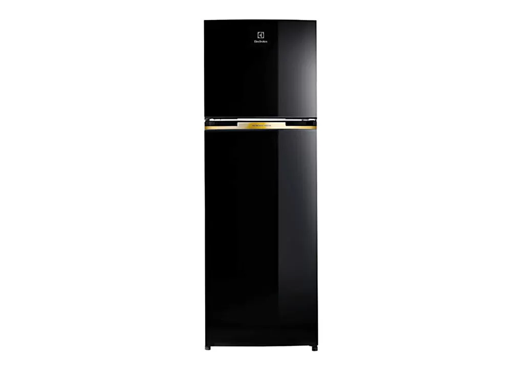 Electrolux Refrigerator Inverter 320 Liters 2 Doors ETB3400J-H Top freezer