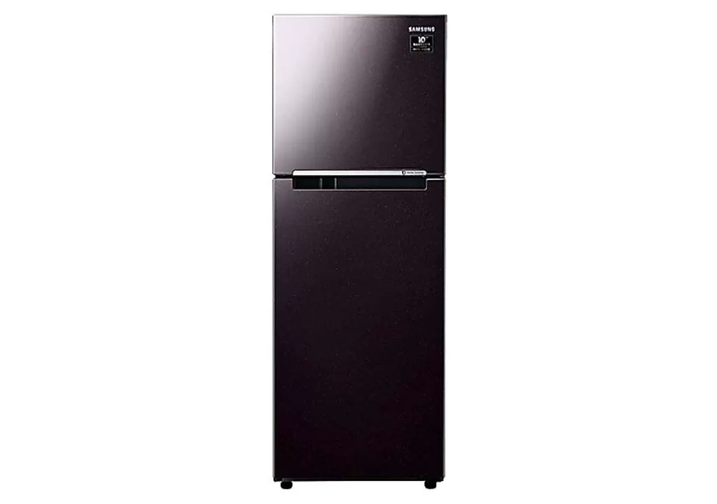 Samsung Refrigerator Inverter 236 Liters 2 Doors RT22M4032BY/SV Top freezer