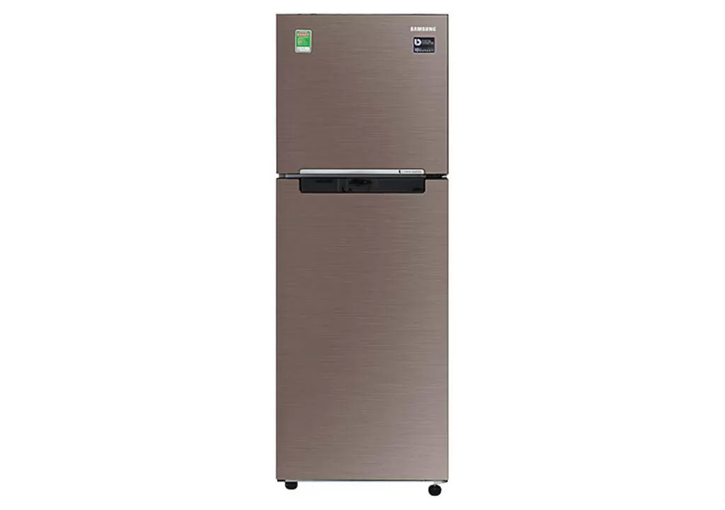 Samsung Refrigerator Inverter 236 Liters 2 Doors RT22M4040DX/SV Top freezer
