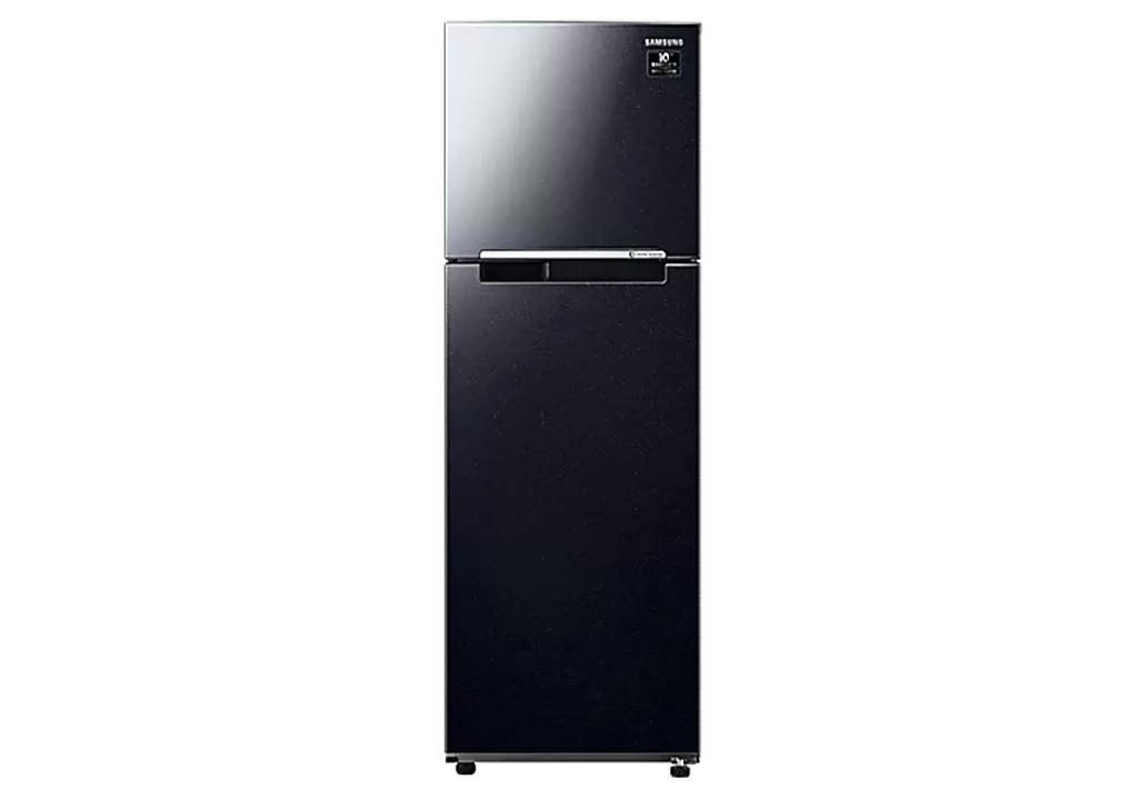 Samsung Refrigerator Inverter 256 Liters 2 Doors RT25M4032BU/SV Top freezer