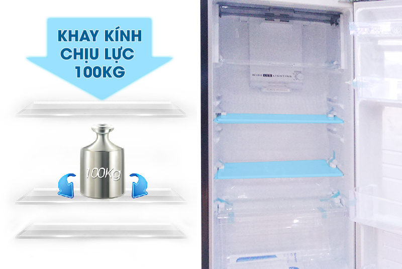 Chiếc tủ lạnh Sharp này còn có khay kính có thể chịu lực cao Chiếc tủ lạnh Sharp này còn có khay kính có thể chịu lực cao