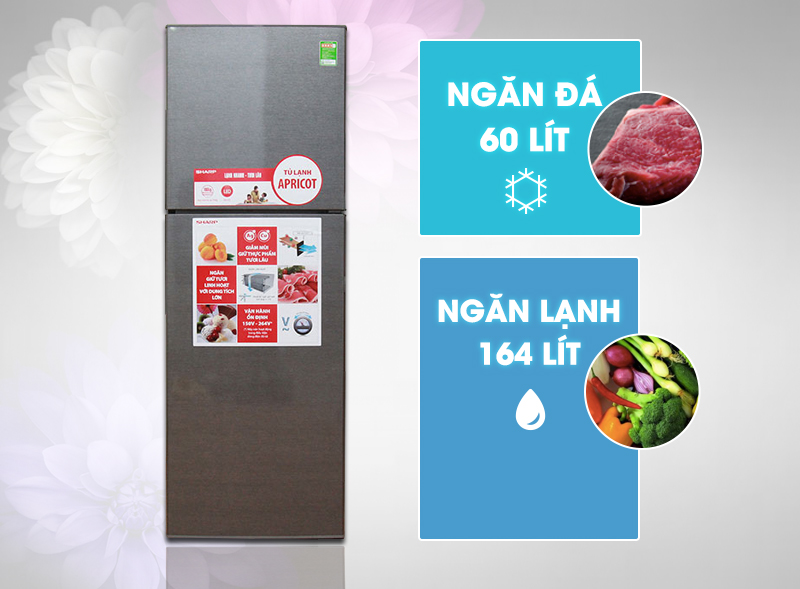 Tủ lạnh với ngăn bảo quản rau quả lớn Tủ lạnh với ngăn bảo quản rau quả lớn