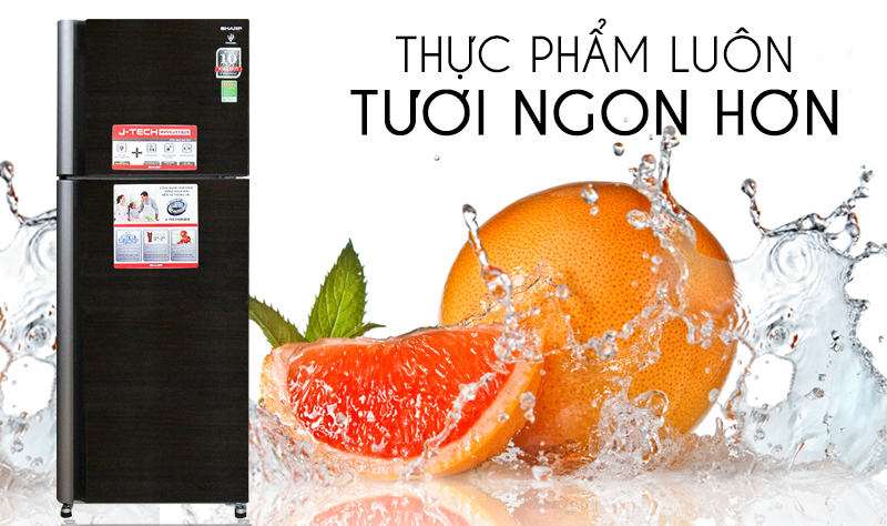 Giúp thực phẩm giữ được độ tươi ngon Giúp thực phẩm giữ được độ tươi ngon