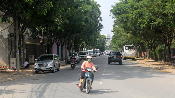 Sẽ đốn bỏ hơn 200 cây xanh tại TP.HCM