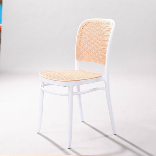 Modern plastic rattan dining chair CA366