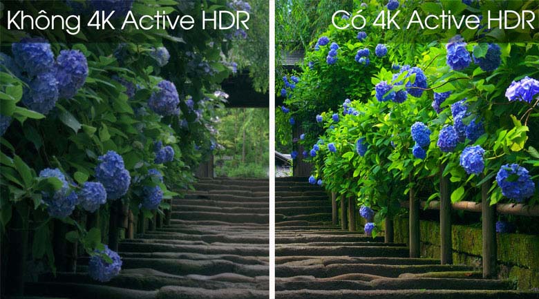 Công nghệ 4K Active HDR - Smart Tivi LG 4K 55 inch 55SM9000PTA