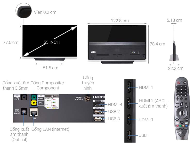 Smart Tivi LG OLED 4K 55 Inch 55E8PTA